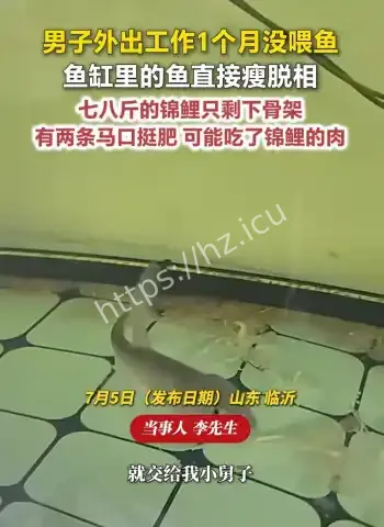 男子1个月没管鱼缸